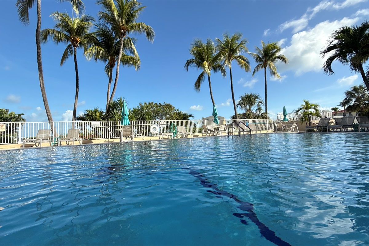 main pool