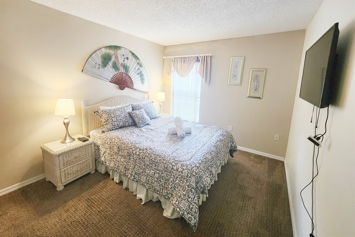 Master Queen Bedroom, TV