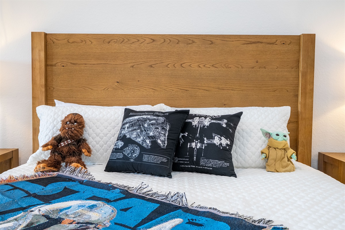 Star Wars Master Bedroom