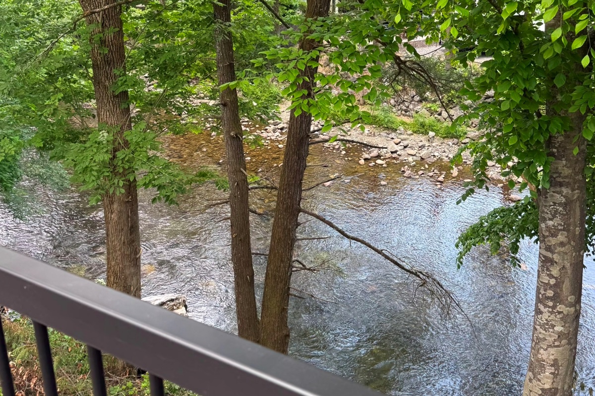 View of Little River from the back deck...