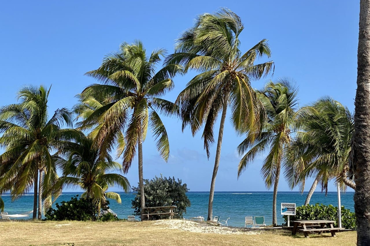 Beach Access - across the street 