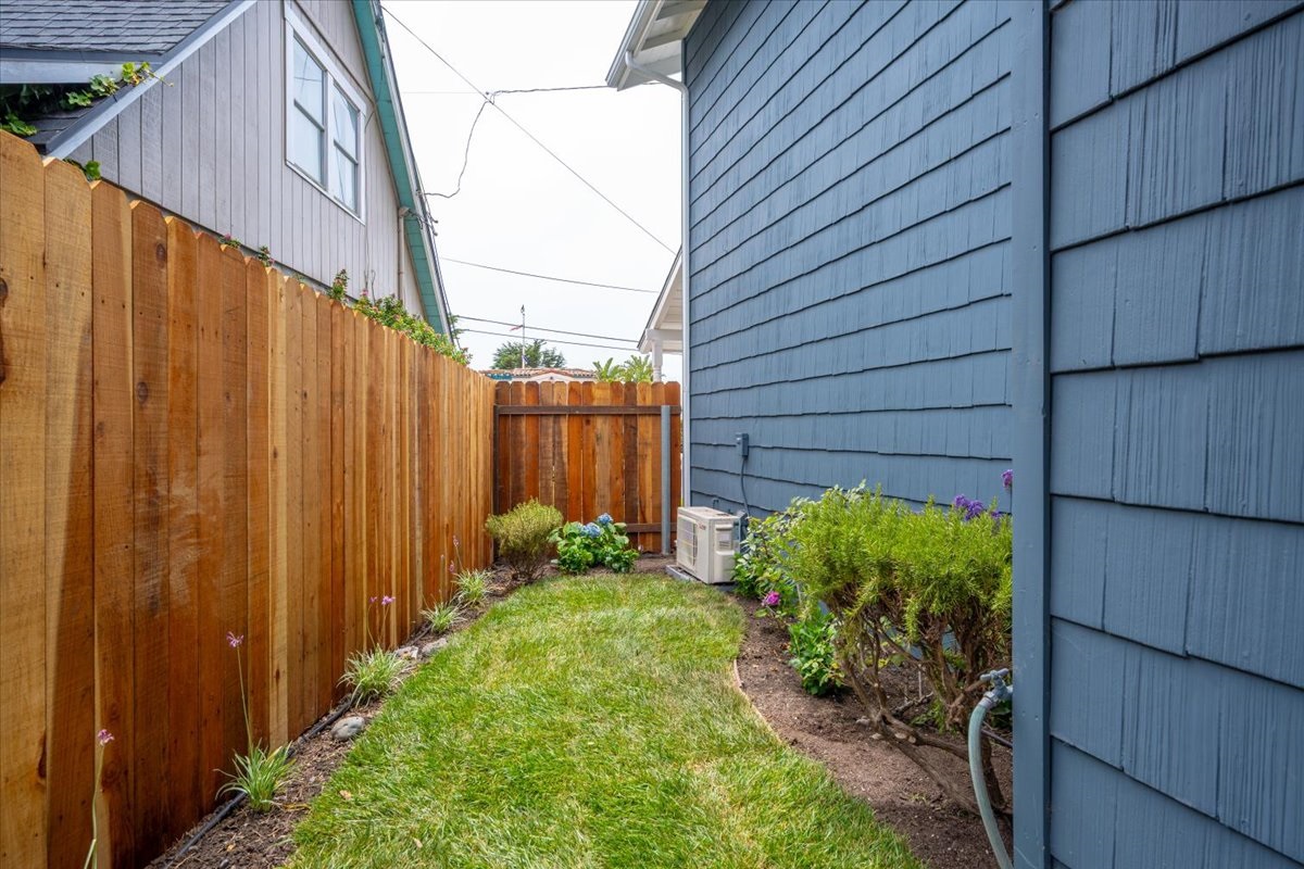 Side Yard