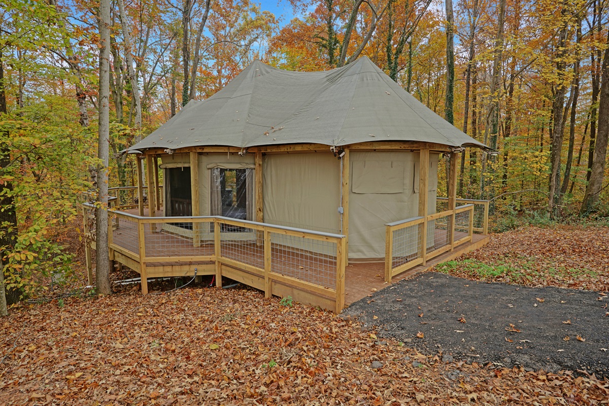 Glamping Retreat: Embrace nature in this unique yurt, surrounded by serene woodland beauty!