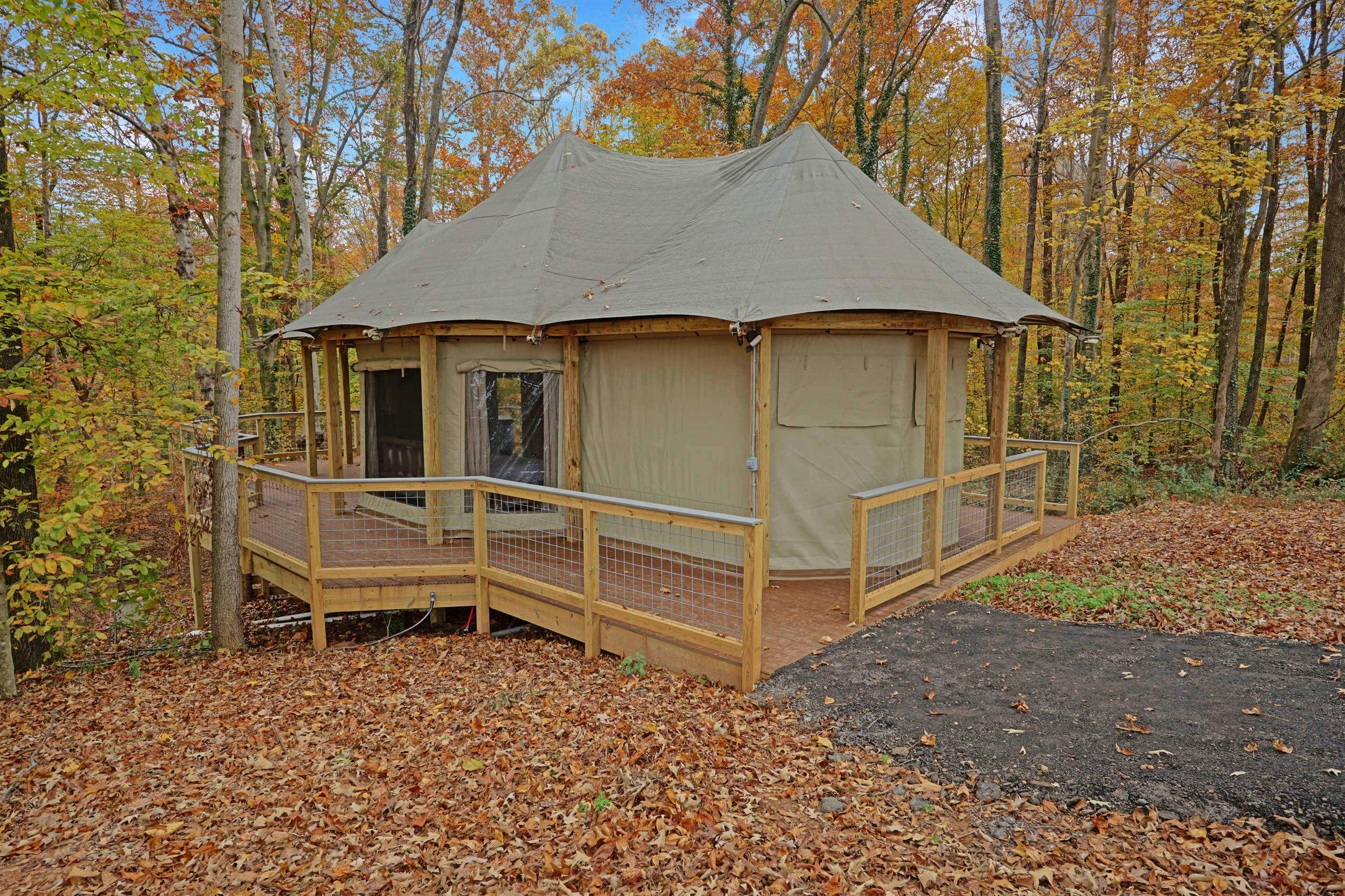 Glamping Retreat: Embrace nature in this unique yurt, surrounded by serene woodland beauty!