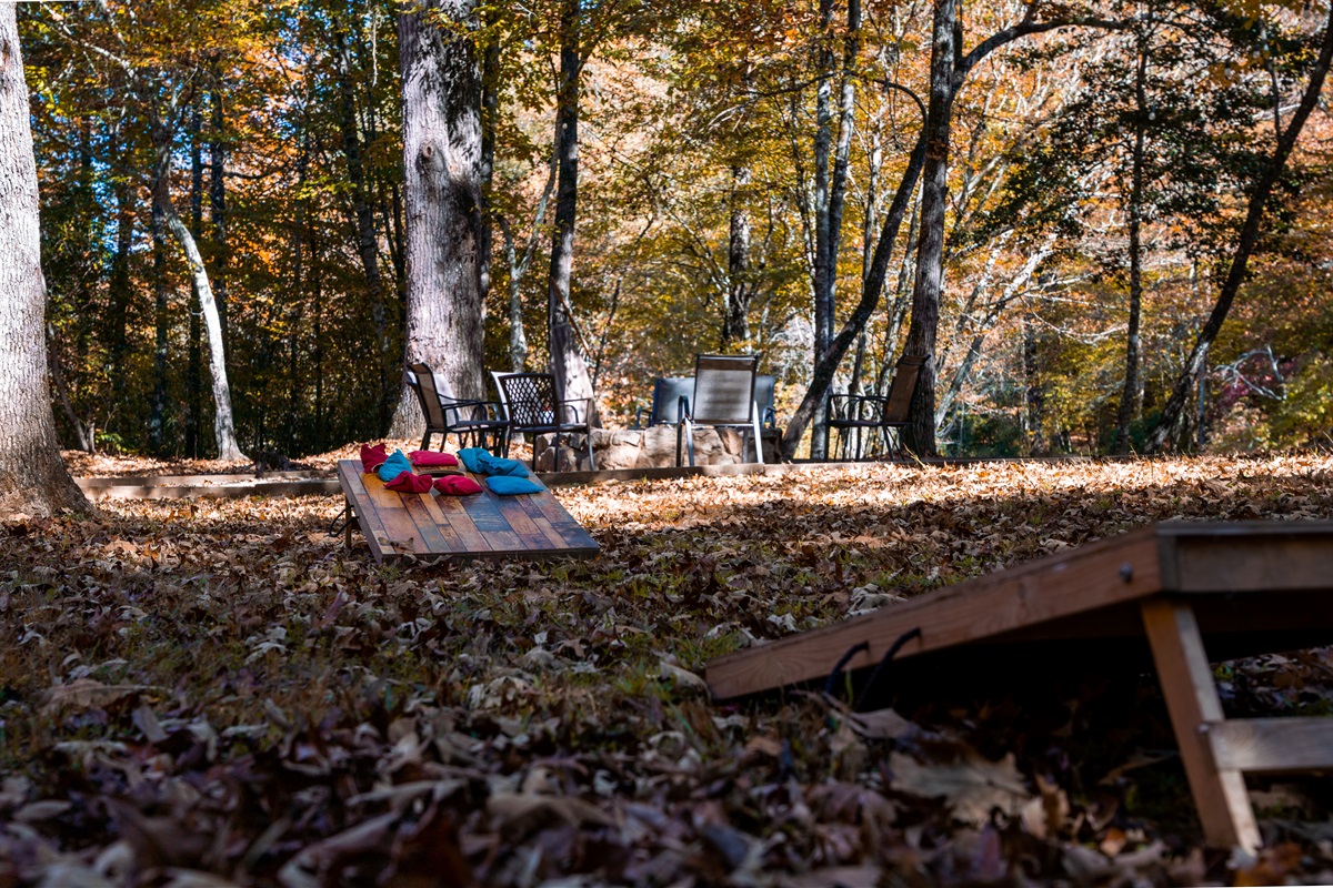 How about a fun game of corn hole