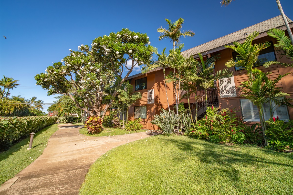 Koa Resort Building 5