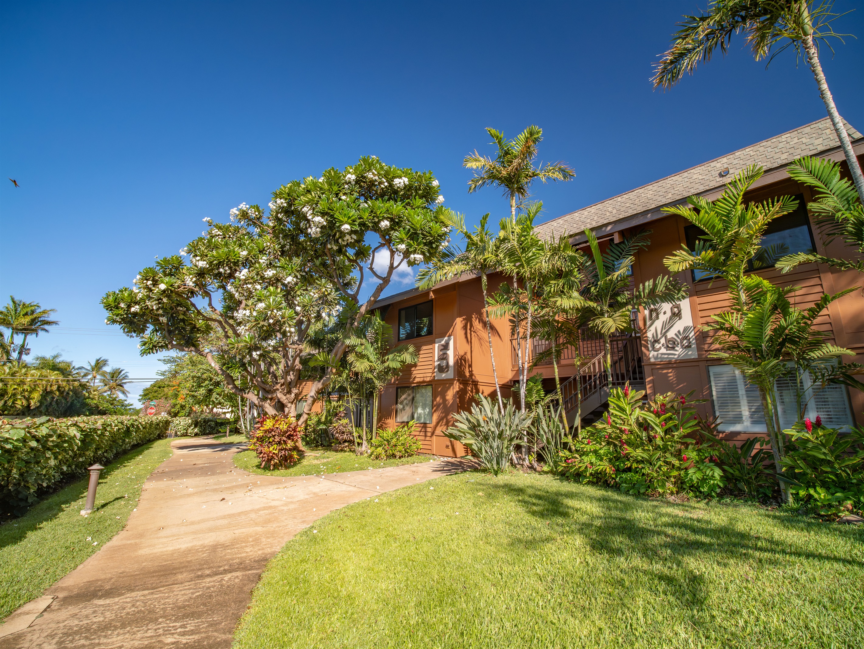Koa Resort Building 5