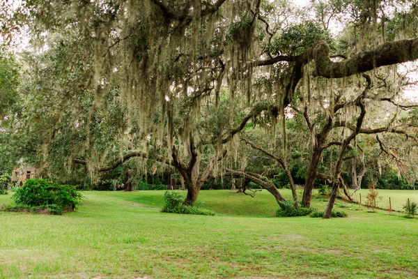 Private acres beneath towering oaks draped in Spanish moss. 