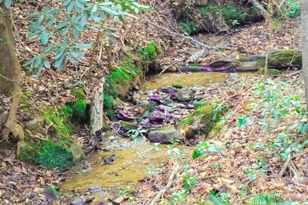 Small stream on property