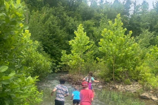Scenic hiking trail through the property leading toward river access and nature views (guest photo - June 2025).