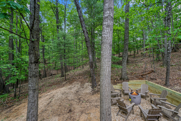 Cozy firepit in the woods 
