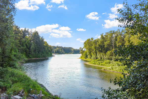 The view: a quiet stretch of river, herons, and open sky.