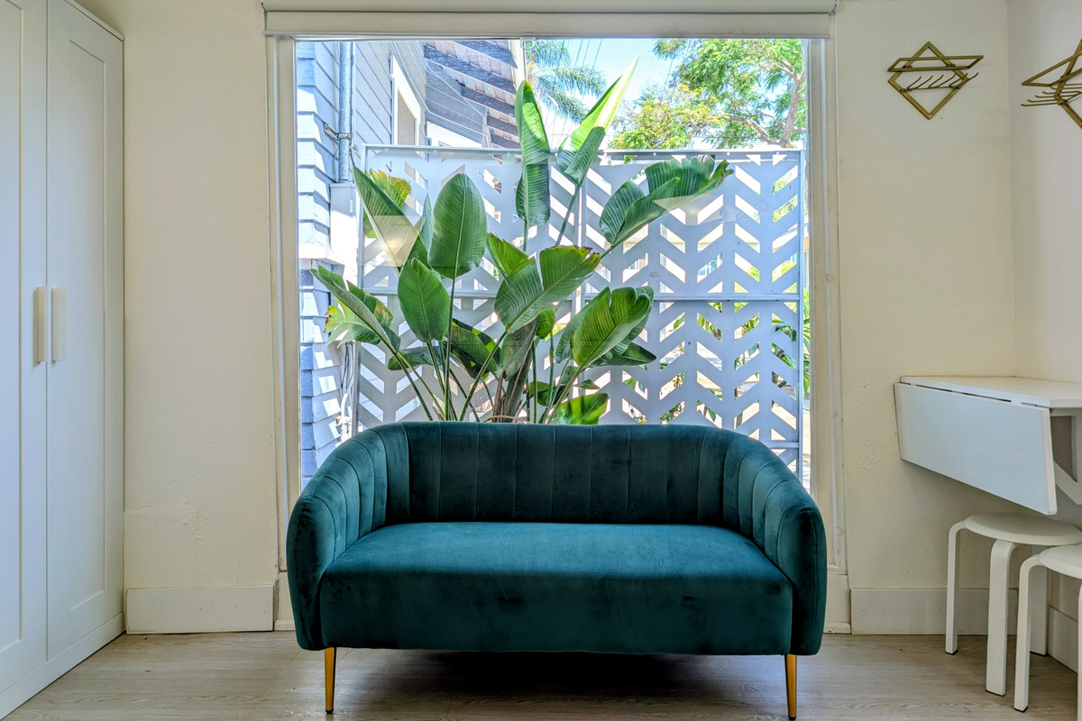 Cozy corner with natural light. 🌿