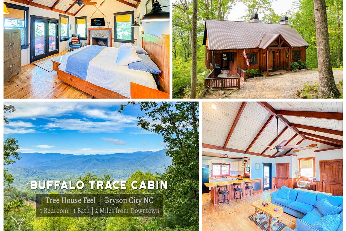 collage of our listing!