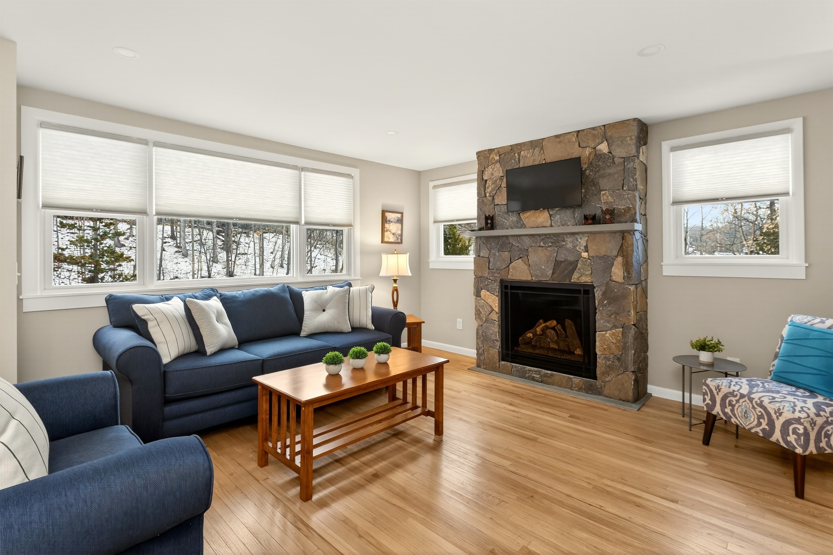 Cozy living room main floor