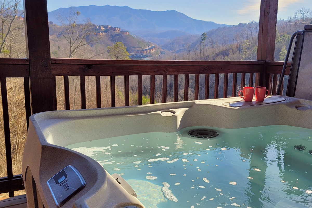 January afternoon by the hot tub