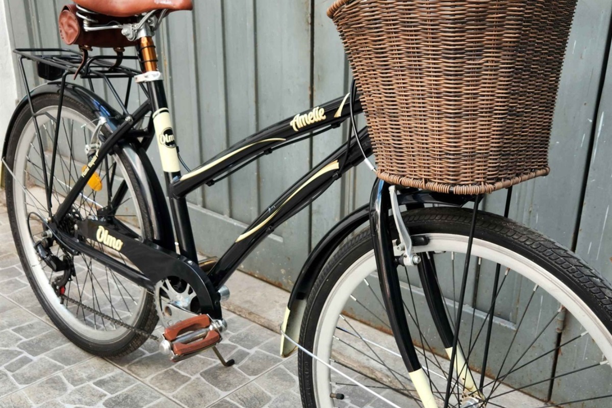 Long stay guest bike