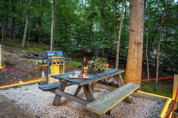 Picnic table by gas grill (propane provided)
