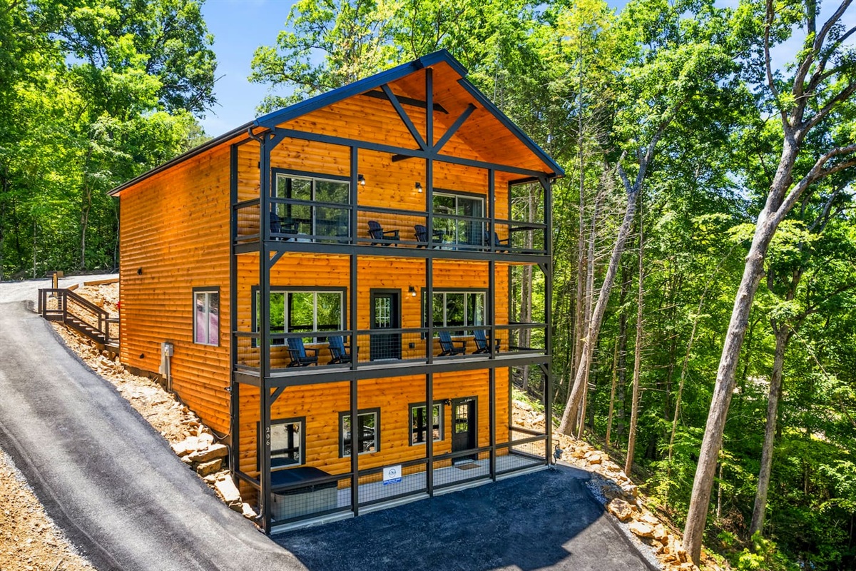 The property comes to life with warm architectural.