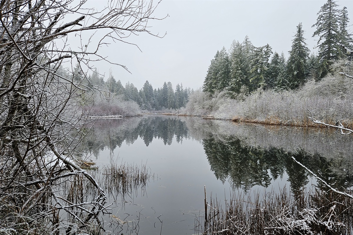 Winter at Alder Falls!