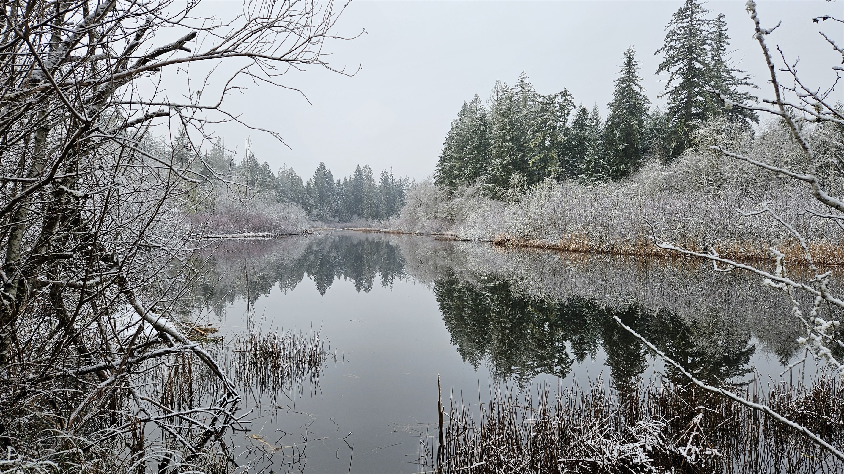 Winter at Alder Falls!