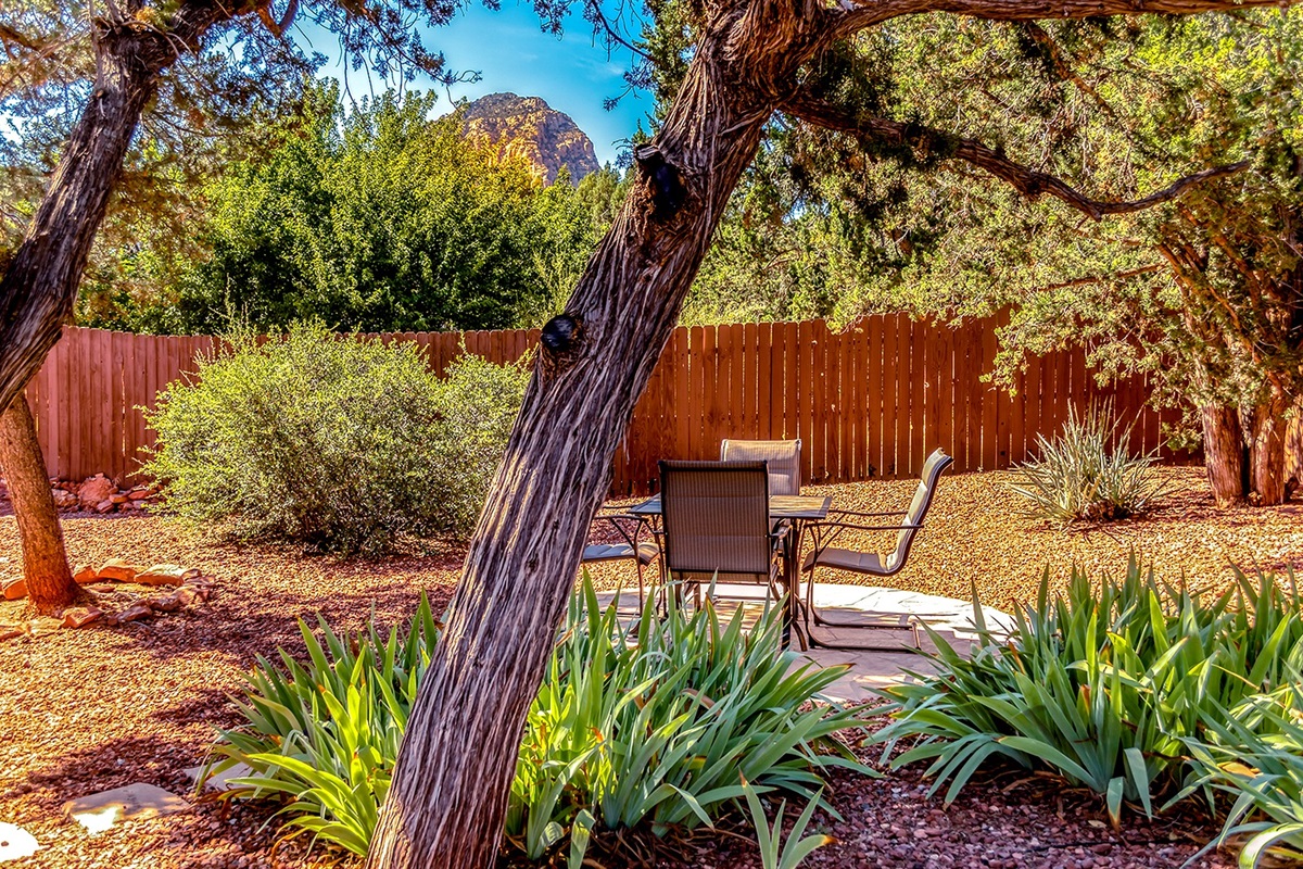 Back yard looking at Thunder Mountain