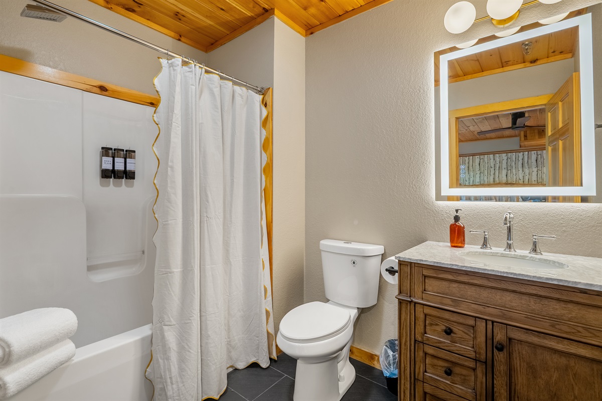 Ensuite Bathroom (Bedroom 6)