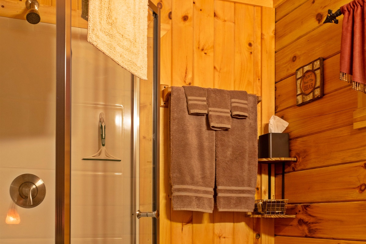 The bathroom includes a small walk-in shower
