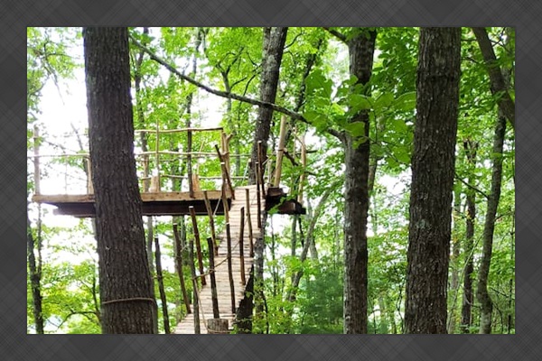 Observation platform open to guests just down the trail from serene-seven. 30 foot suspension bridge to access platform that puts you 20+ feet in the trees