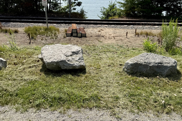 Clearing with steps down to the Lake