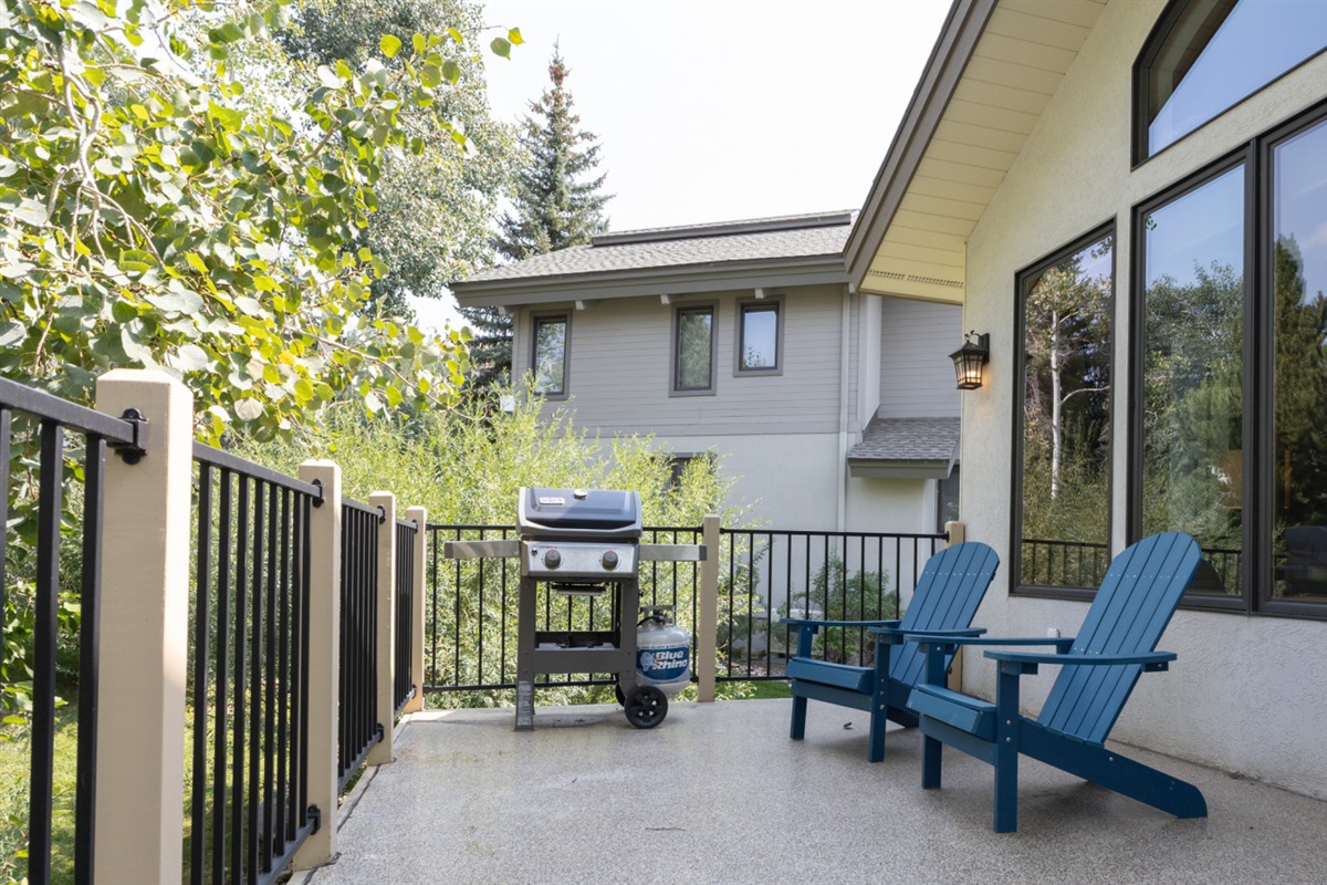 Outdoor Patio with Gas Grill