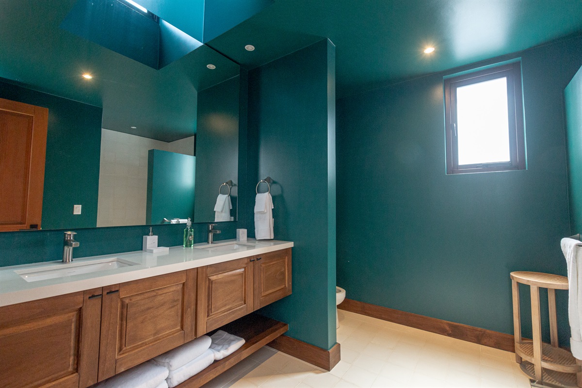 Primary suite bathroom.