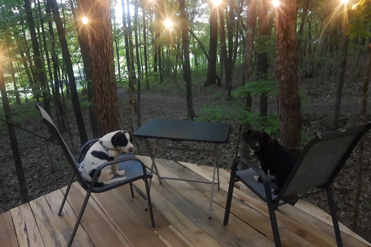 Table and chairs to enjoy deck dining. Can also be an outdoor office space