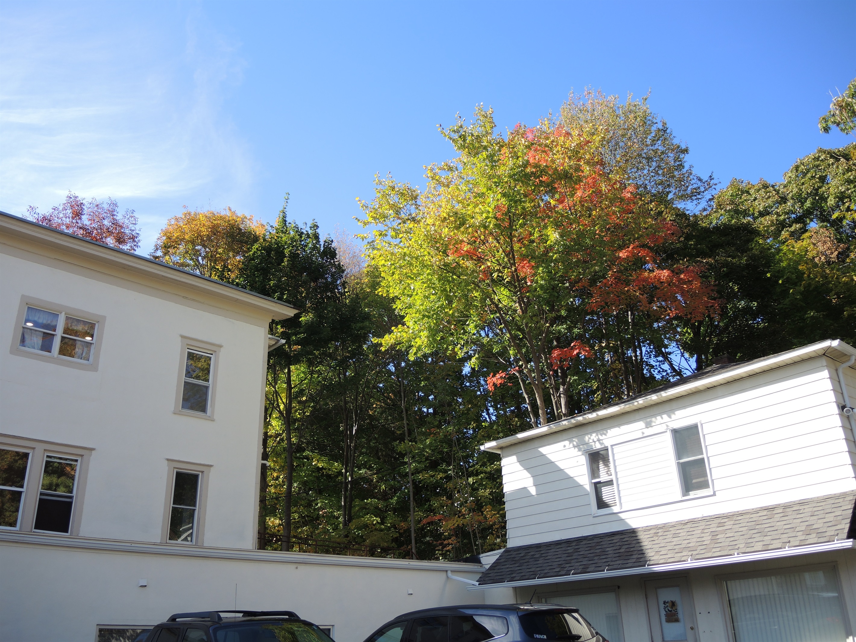 City Fox 1 + 2 on left, 3 + 4 on right