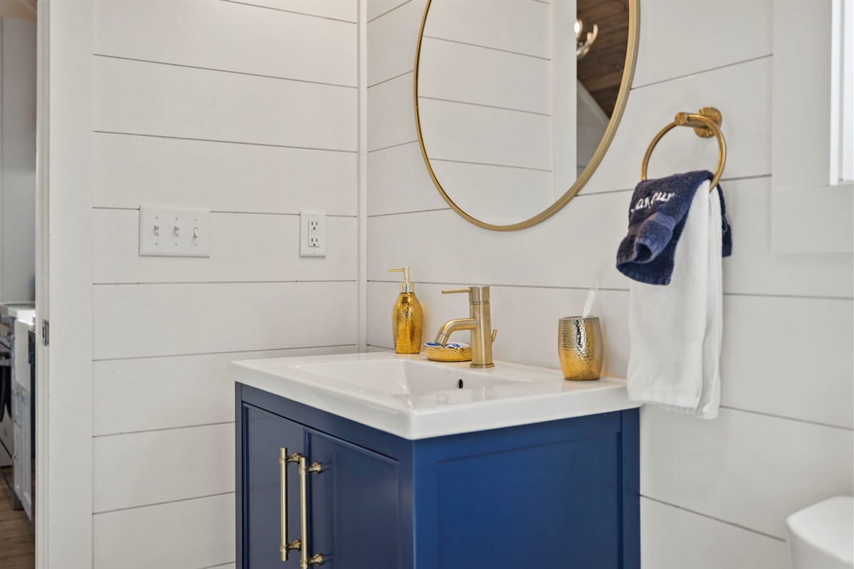 Bath sink