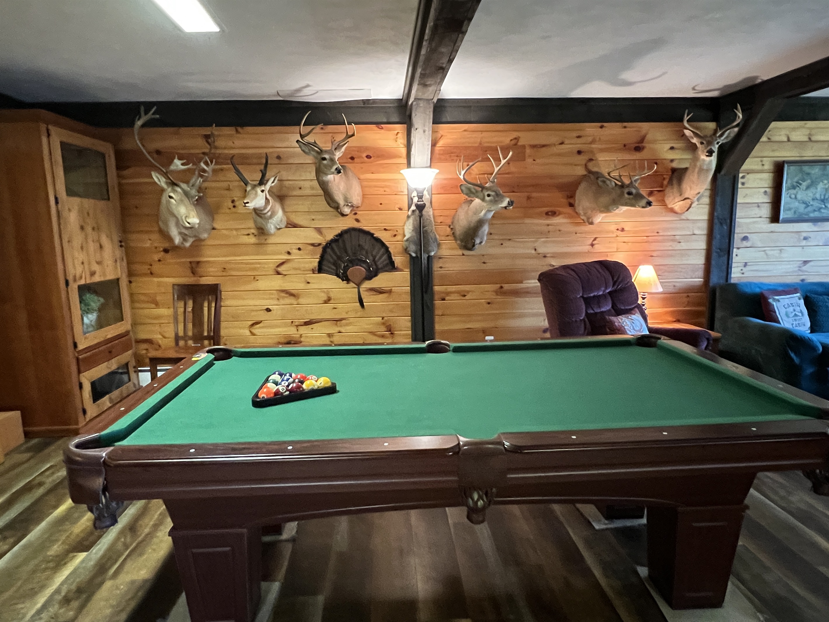 Game area...get it?!