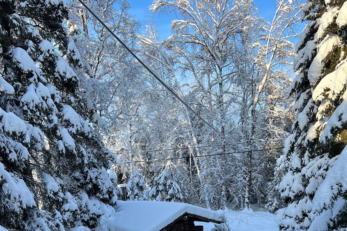 Beautiful views off the balcony