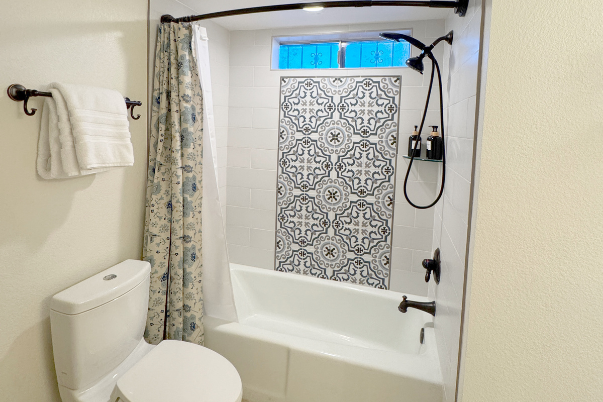 Guest bathroom shower