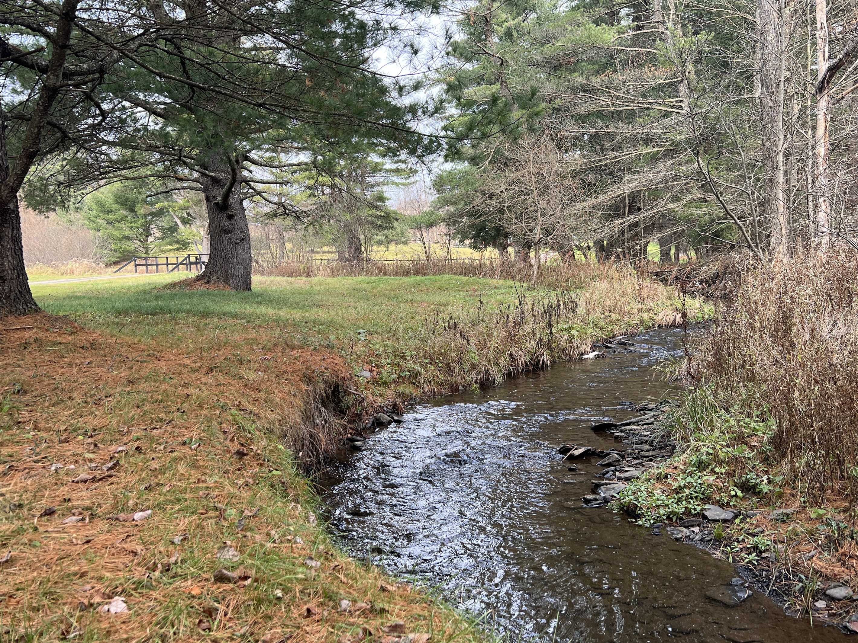 Horse Haven stream running along the property.