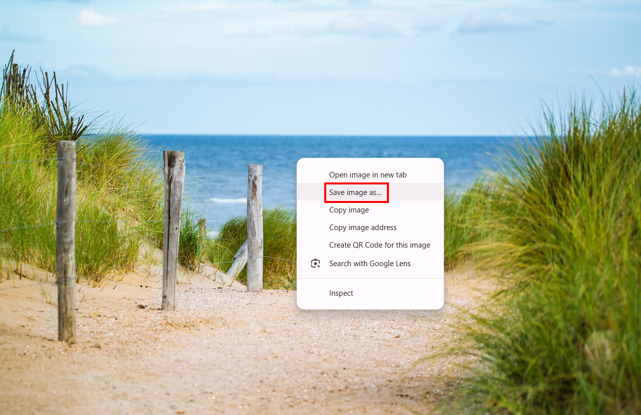 The photo will open in a new tab automatically. Users can download the photo by right-clicking on the photo and selecting Save image as... to save the photo in their selected location.