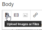 Insert images by clicking on the upper left Upload Images or Files icon.