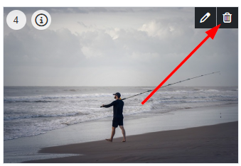 To delete an individual image, click the upper-right trash can icon of that image.