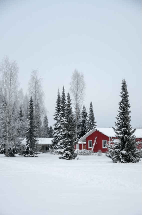 Red cabin in snow