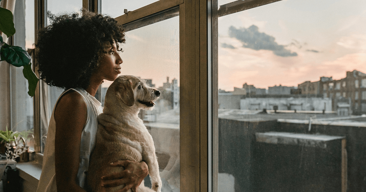 Your Guide to Creating a Pet-Friendly Vacation Rental - OwnerRez Guides ...